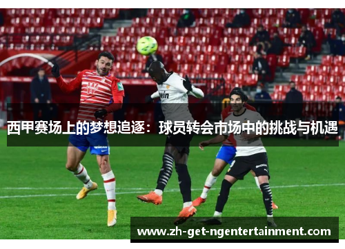 西甲赛场上的梦想追逐：球员转会市场中的挑战与机遇